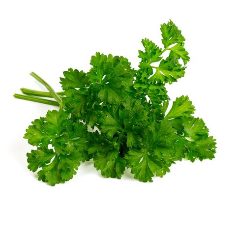 Petržel kadeřavá | 20 g