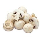 Bílé žampiony | 250 g