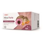 Dr. Max Hlíva Forte s rakytníkem a echinaceou 120 tablet