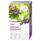Dr. Max Uklidňující bylinný čaj | 20 x 1.5 g