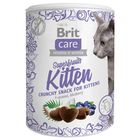 Brit Care Cat Snack Superfruits Kitten 100 g (293-111268)