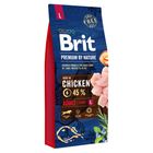 Brit Premium by Nature Adult L 15kg (294-170827)
