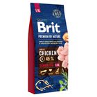 Brit Premium by Nature Senior L+XL 15 kg (294-170829)