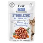 Brit Care Cat Sterilized Fillets in Jelly with Hearty Duck & Tender Turkey 85 g (293-100532)