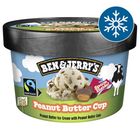 Ben & Jerry's Peanut Butter Cup zmrzlina | 100 ml