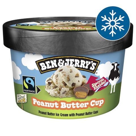 Ben & Jerry's Peanut Butter Cup Ice Cream | 100 ml