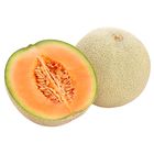 Titbit Meloun cantaloupe | 1 kus