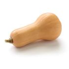 Titbit Butternut Squash | 1 piece