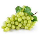 Hrozno bílé | 500 g