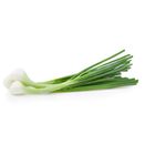 Spring Onion | 1 bunche (5443)