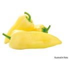 Paprika zeleninová