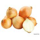 Česká Farma Cibule