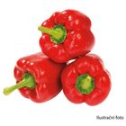 Bon Via Paprika červená