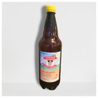Žíznivý dromedár letní ejlík 10% - PET | 1 l