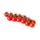 Cherry tomatoes I. quality | 250 g (5311)