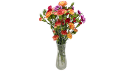 Grennellik Mix | 8stk