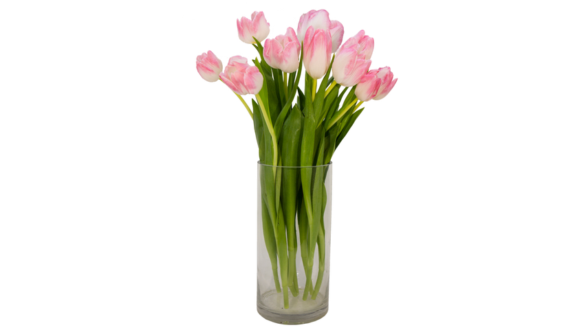 Tulipaner rosa | 10pcs