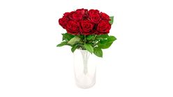 Mimea Flowers Roses Red 50cm 10pcs