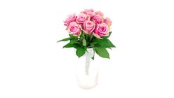 Mimea Flowers Roses Pink 50cm 10pcs