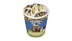 Ben & Jerry'S Glass Marshmallow/S'More! 427ml