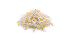 Bean Sprouts Organic 180g