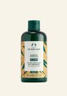 Gyömbéres sampon 250ml