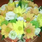 Summer Box
