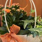 Flower Gift Bag