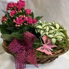 Flower Basket 2