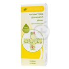 Aromax Antibacteria légfrissítő spray kubeba-citrom 20 ml