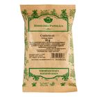 Herbária Csalánlevél tea 30 g