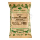 Herbária Csalánlevél tea 30 g