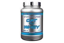 Oat N Whey 1380 g vanília