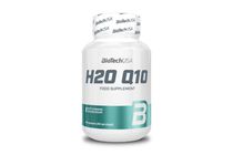 H2O Q10