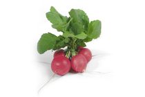 Hónapos retek 1 csomó