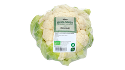 Blomkål Økologisk | 1stk