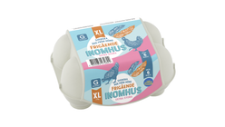Garant XL Ägg Frigående Inomhus 6-pack