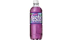 Festis Blueberry/Pear Sugar Free 500ml