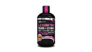 l carnitine function in body The Role of L-Carnitine in Kidney Disease and Related Metabolic Dysfunctions