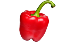 ICA Paprika Röd 230g