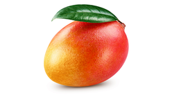 Coop Mango 1st ca 330g