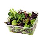 NFU Bio Pflücksalat Mix 100 g Pkg.