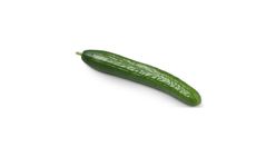 Echt Bio Gurke Stk.