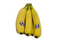 Echt Bio Bananen 0.6kg