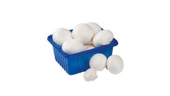Champignons Weiss 250g