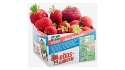 Jordgubbar 500g
