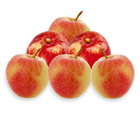 Epler Røde Royal Gala | 6stk