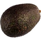 Avocado 1st