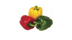 Paprika Tricolore 3 Stk. (Niederlande)