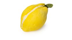 Lemon Crumble Bubbleroon